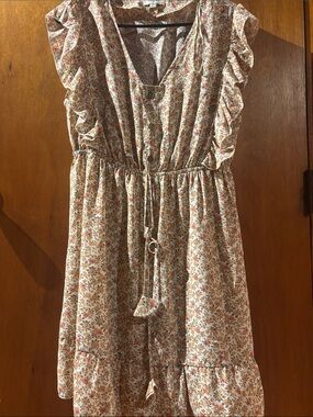 Umgee Pink Cream Floral Ruffle Button-Front Dress